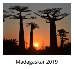Madagaskar 2019